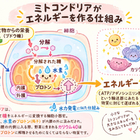 画像1056