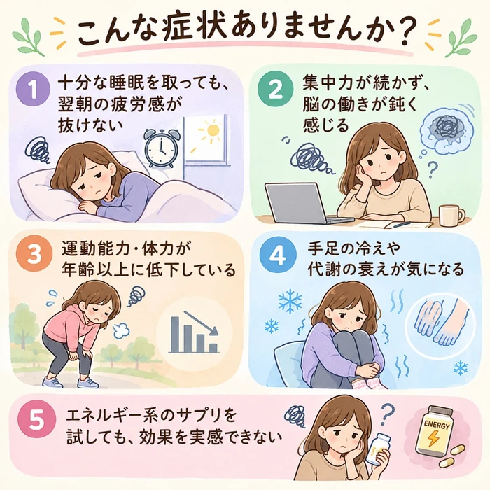 画像1097
