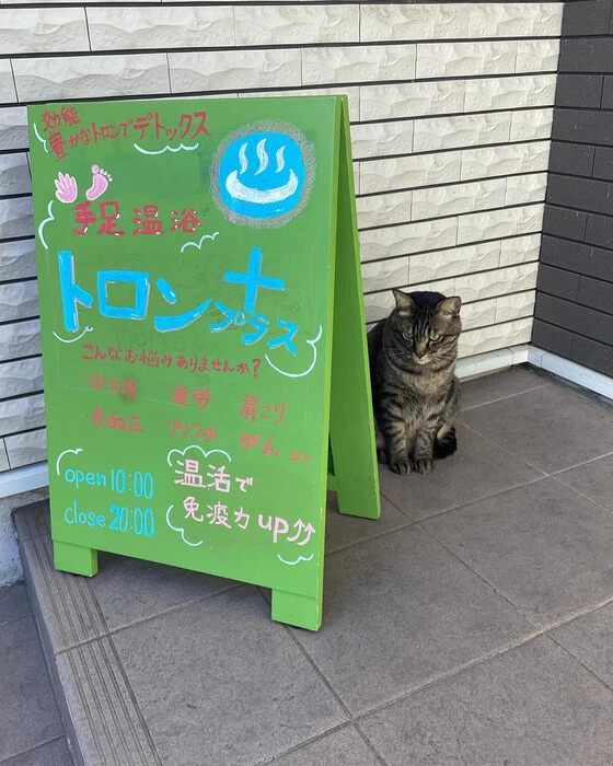 画像242