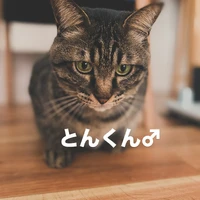 画像352