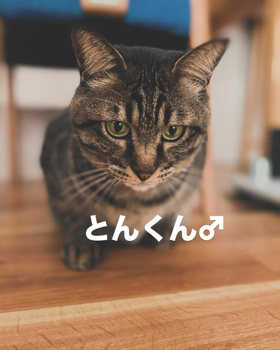 画像352