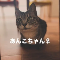 画像353