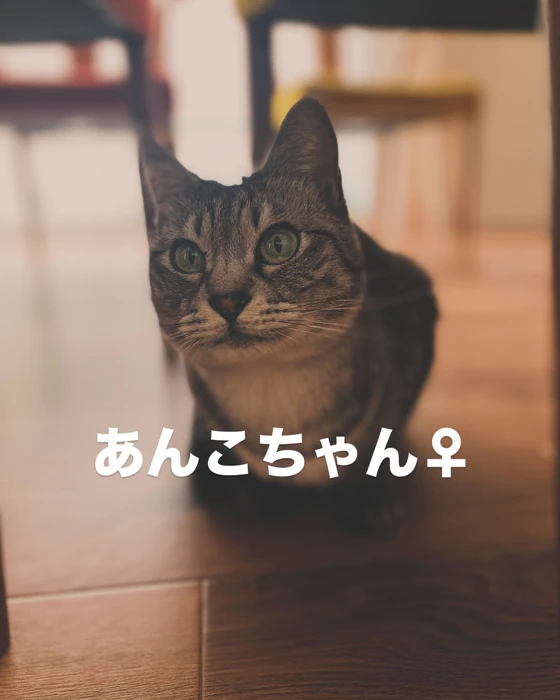 画像353