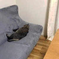画像411
