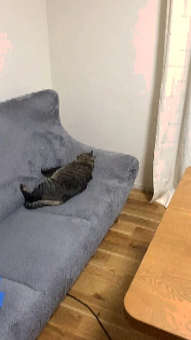 画像411