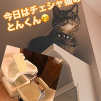 画像444