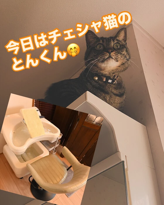画像444