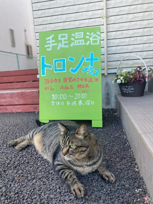 画像505