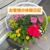 画像513