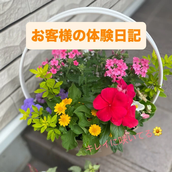 画像513