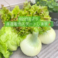 画像515