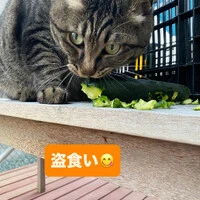 画像521