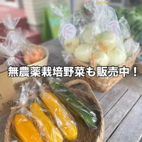 画像532