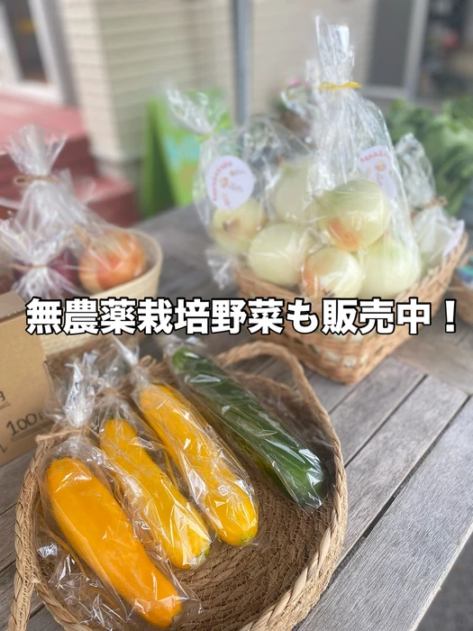 画像532