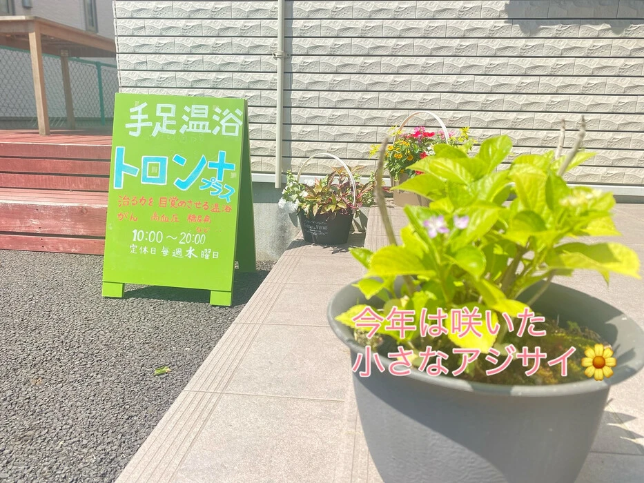 画像535