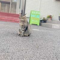 画像537