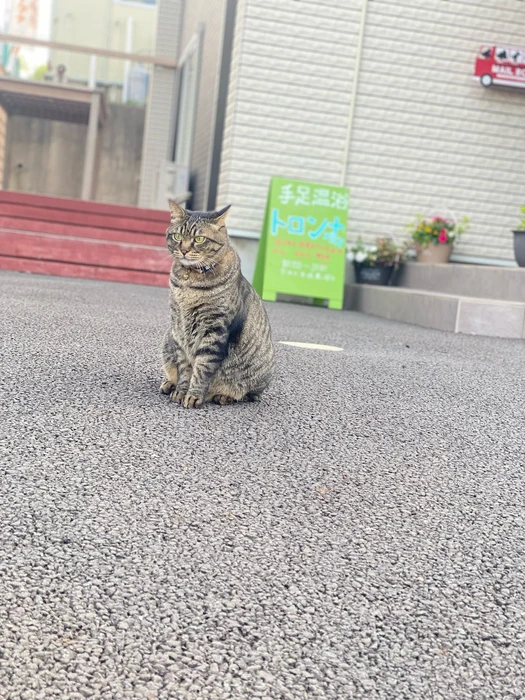 画像537