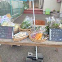 画像547