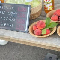 画像552