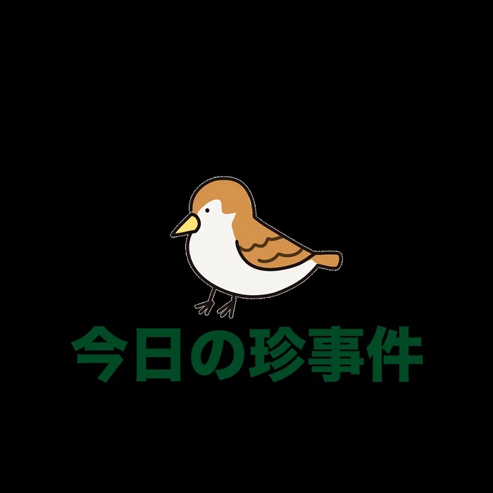 画像558