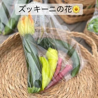 画像572