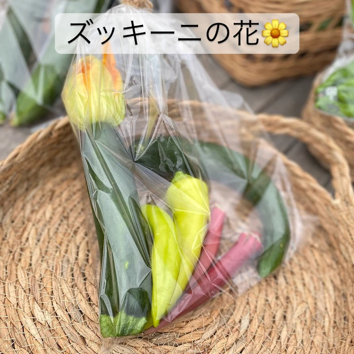 画像572