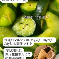 画像587