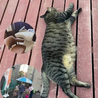画像608