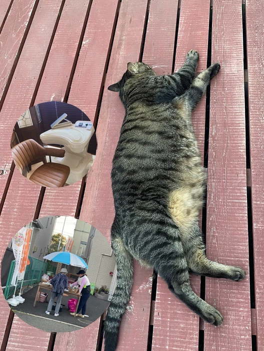 画像608