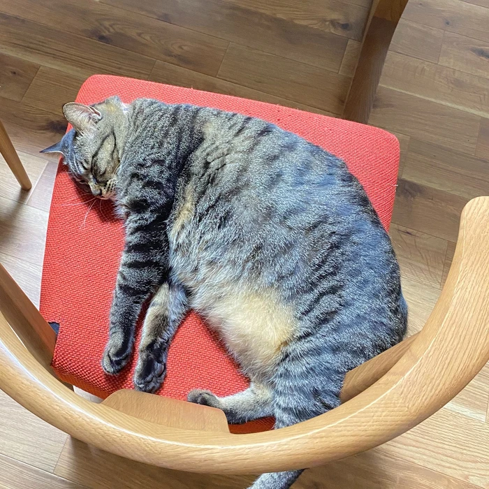 画像612