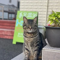 画像624