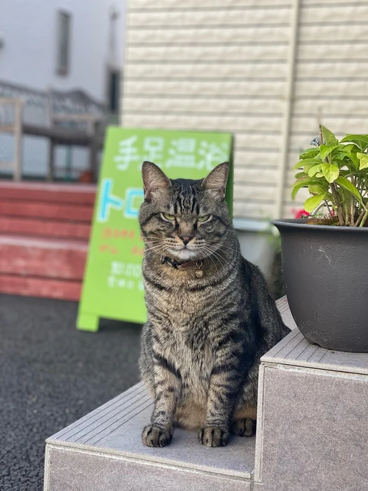 画像624