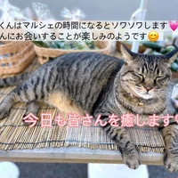 画像646