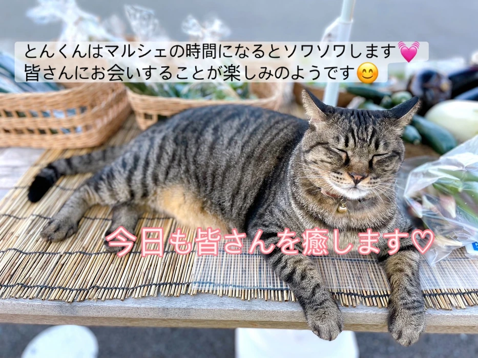 画像646