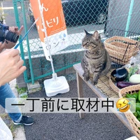 画像671