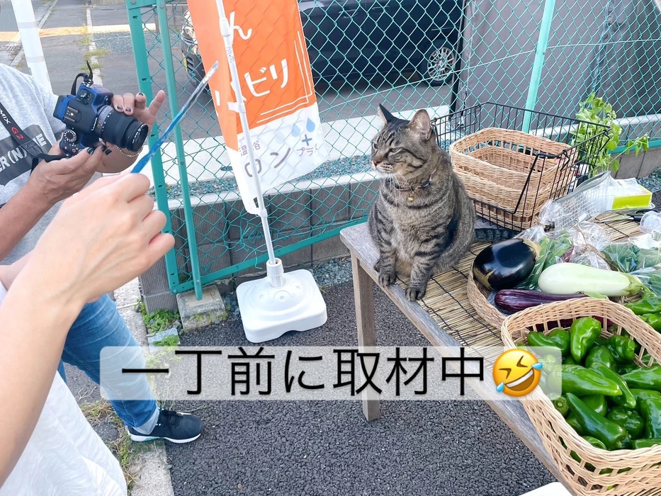 画像671