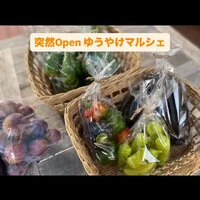画像693