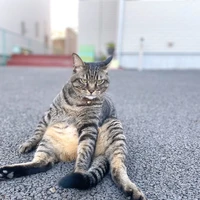 画像705