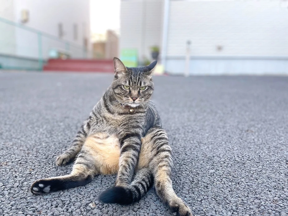 画像705