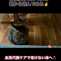 画像719
