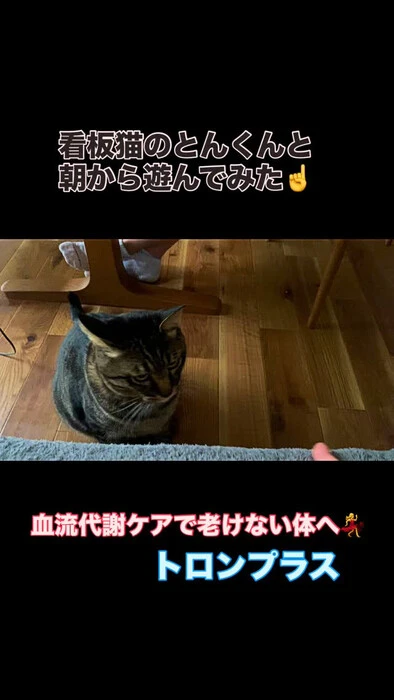 画像719