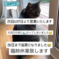 画像733
