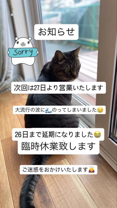 画像733