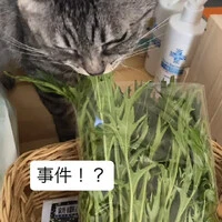 画像760