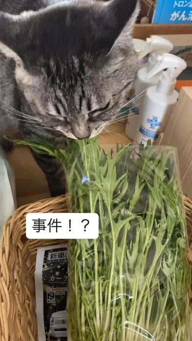 画像760