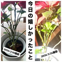 画像884