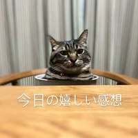 画像902