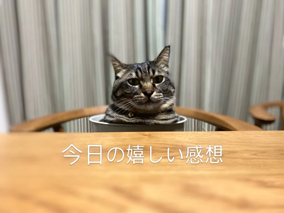 画像902