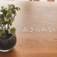 画像952