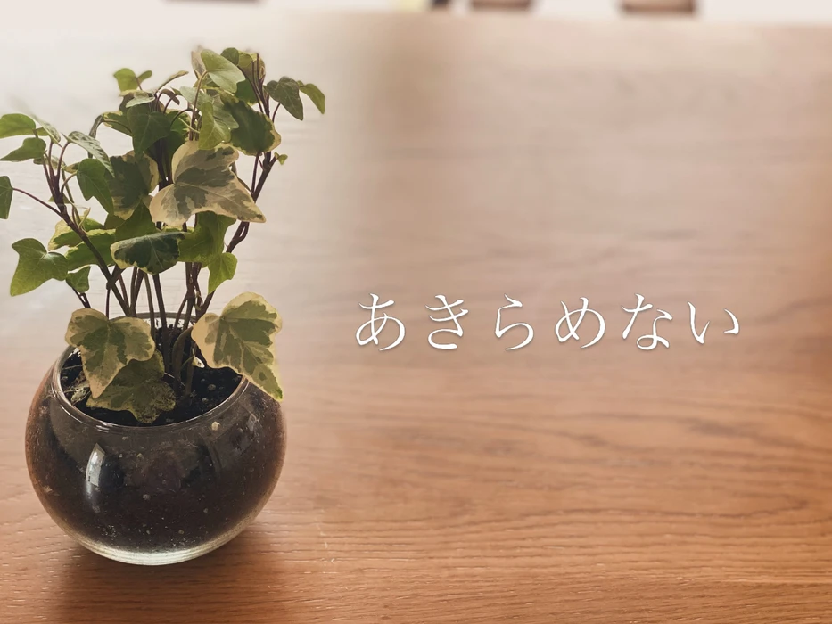 画像952